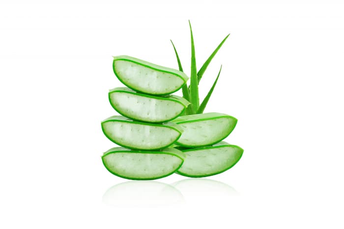 Aloe Vera Çiçeği