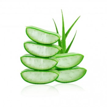 Aloe Vera Çiçeği