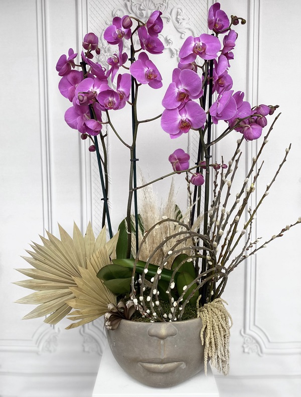 İçinizi Isıtacak En Sevilen Orkide Çeşitleri