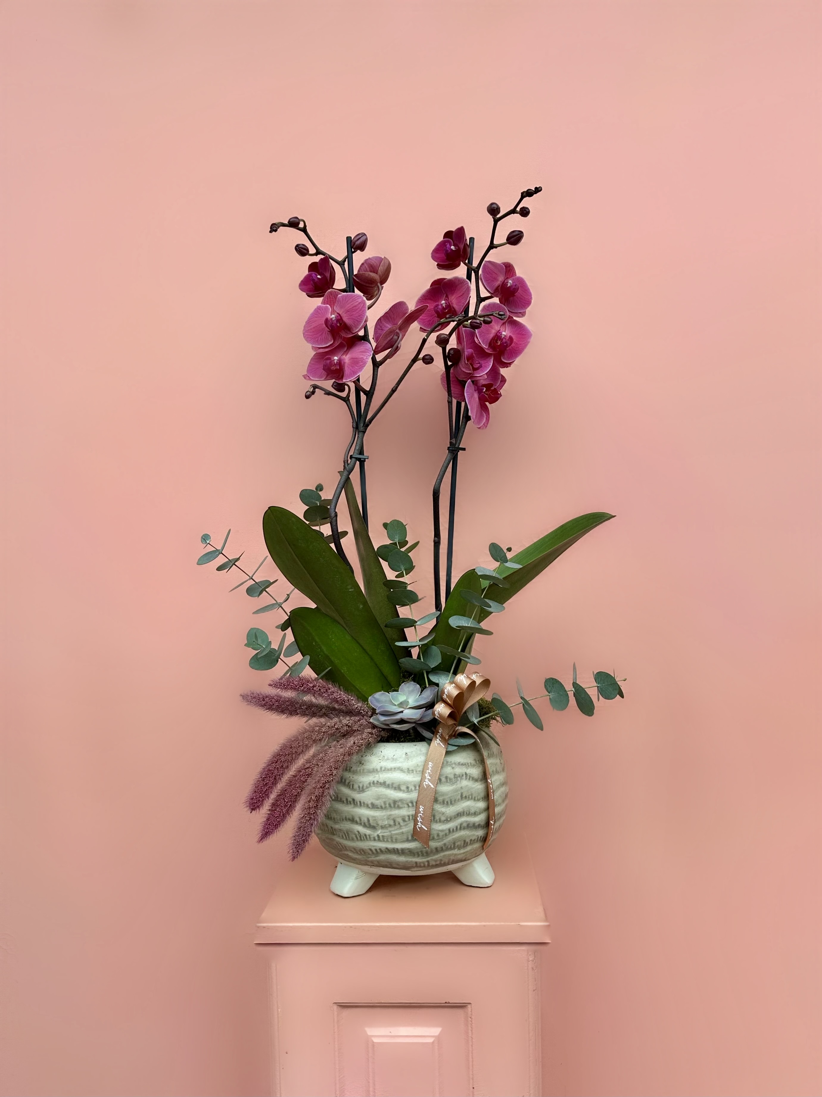 Kış Mevsimine Uygun En Dayanıklı Çiçekler