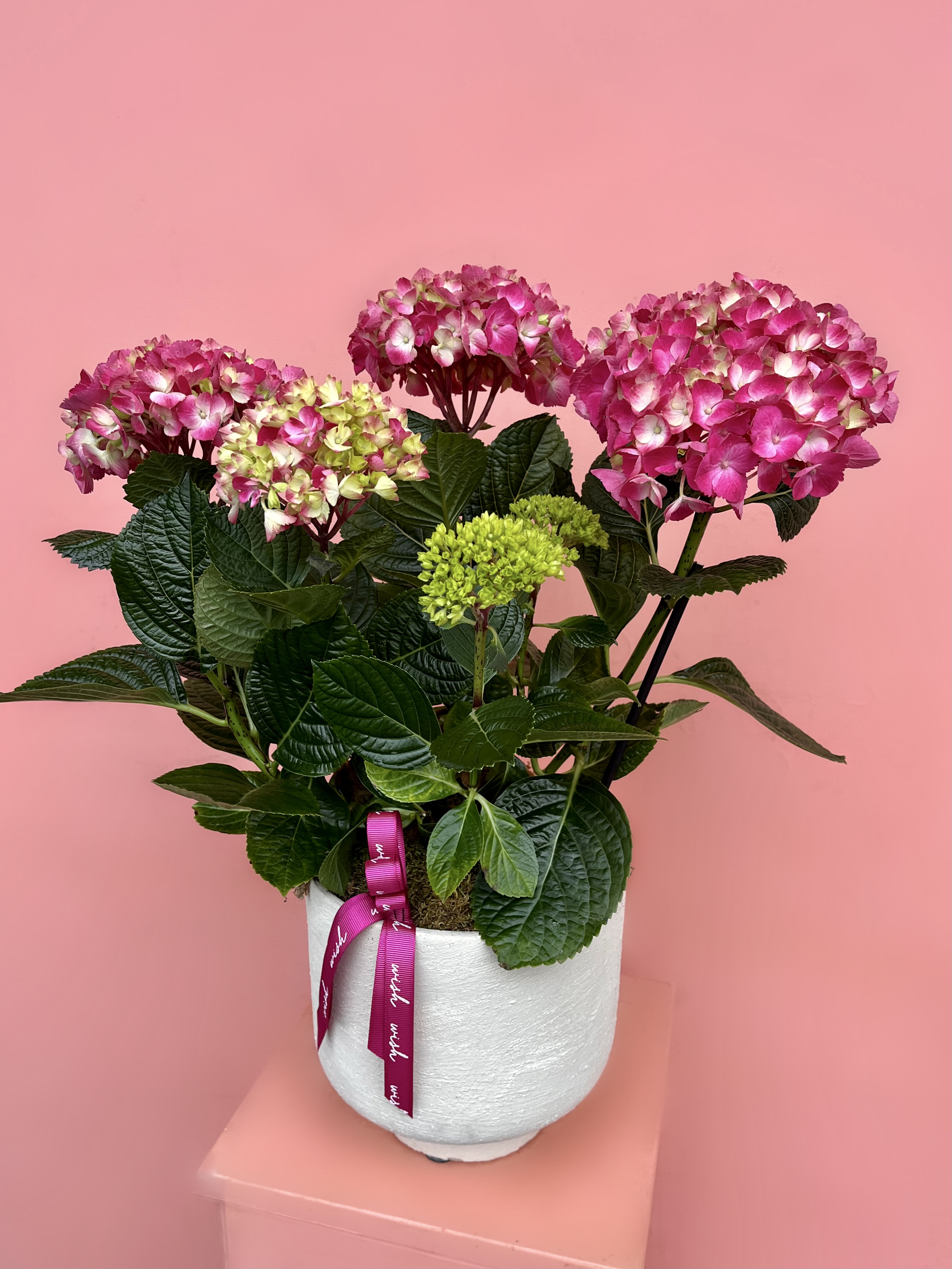 Mevsimlere Göre Çiçekler