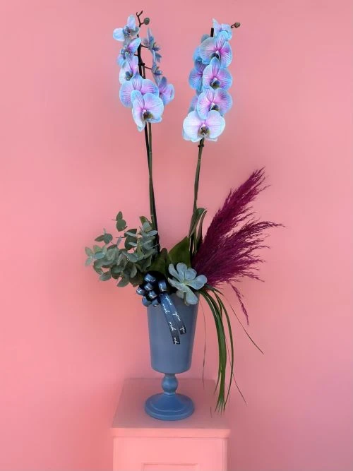 Bebek Hediyesi Çiçek Çeşitleri