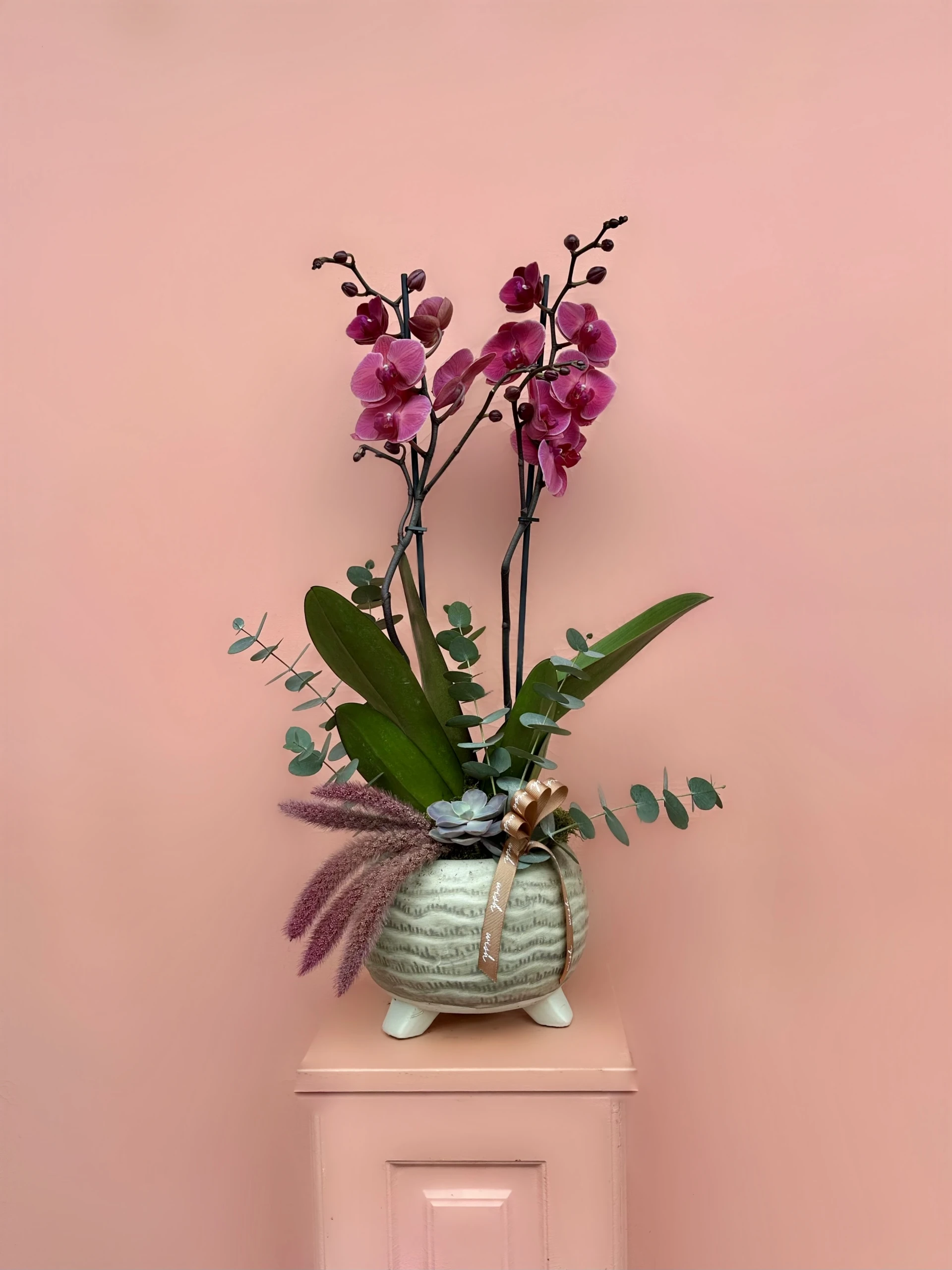 Kış Mevsimine Uygun En Dayanıklı Çiçekler