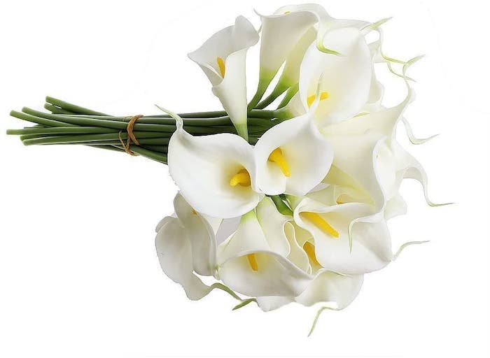 Yaz Kış Kurumayan Saksı Çiçekleri