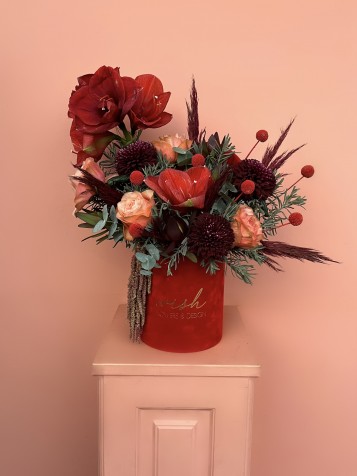 Amaryllis Kırmızı Kadife Kutuda Aranjman