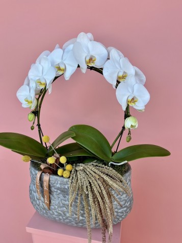 Özel Tasarım Beyaz Orkide