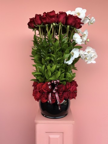 Velvet Luxe Kırmızı Güller Ve Beyaz Orkide Tasarım Aranjman