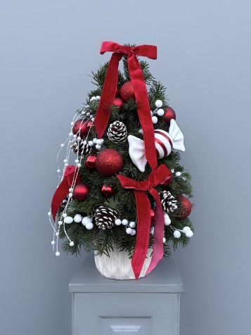 Candy Cane Yılbaşı Çam Ağacı