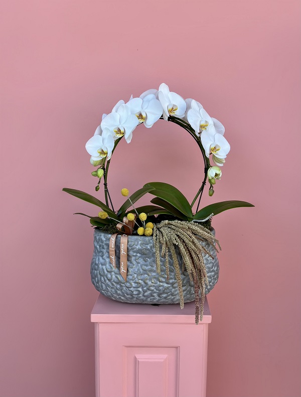 Özel Tasarım Beyaz Orkide