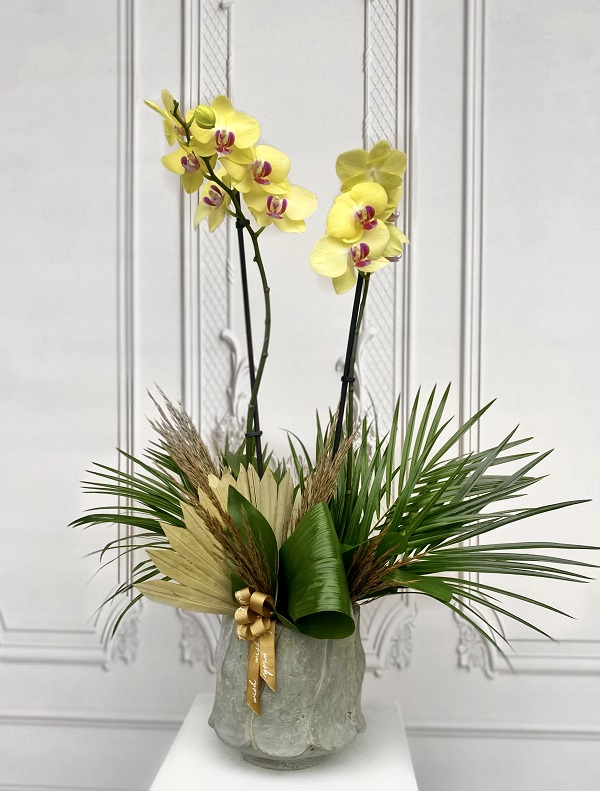 Özel Tür Yellow Miraflore Sarı Orkide