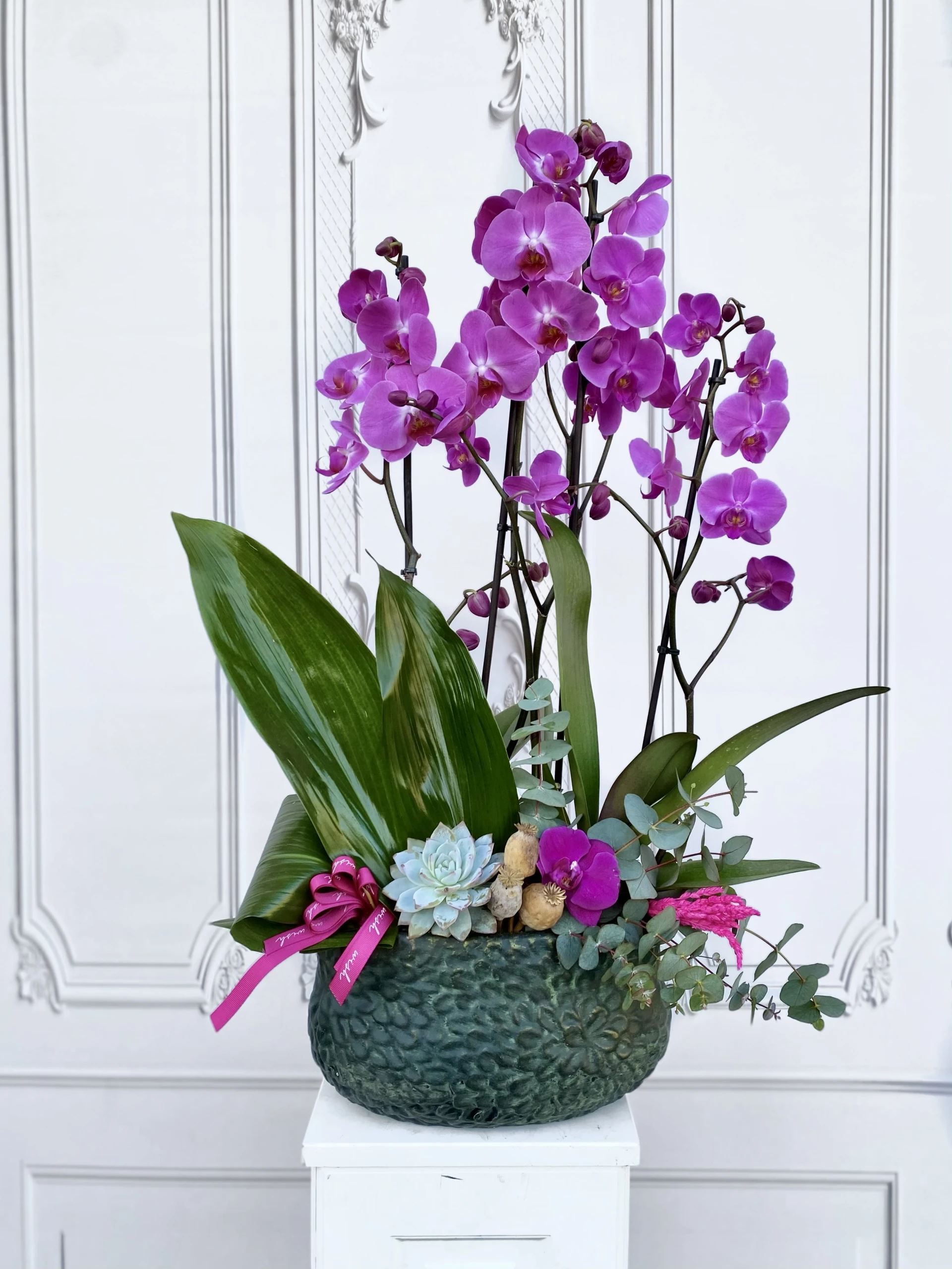 Fuşya Orkide Bahçesi