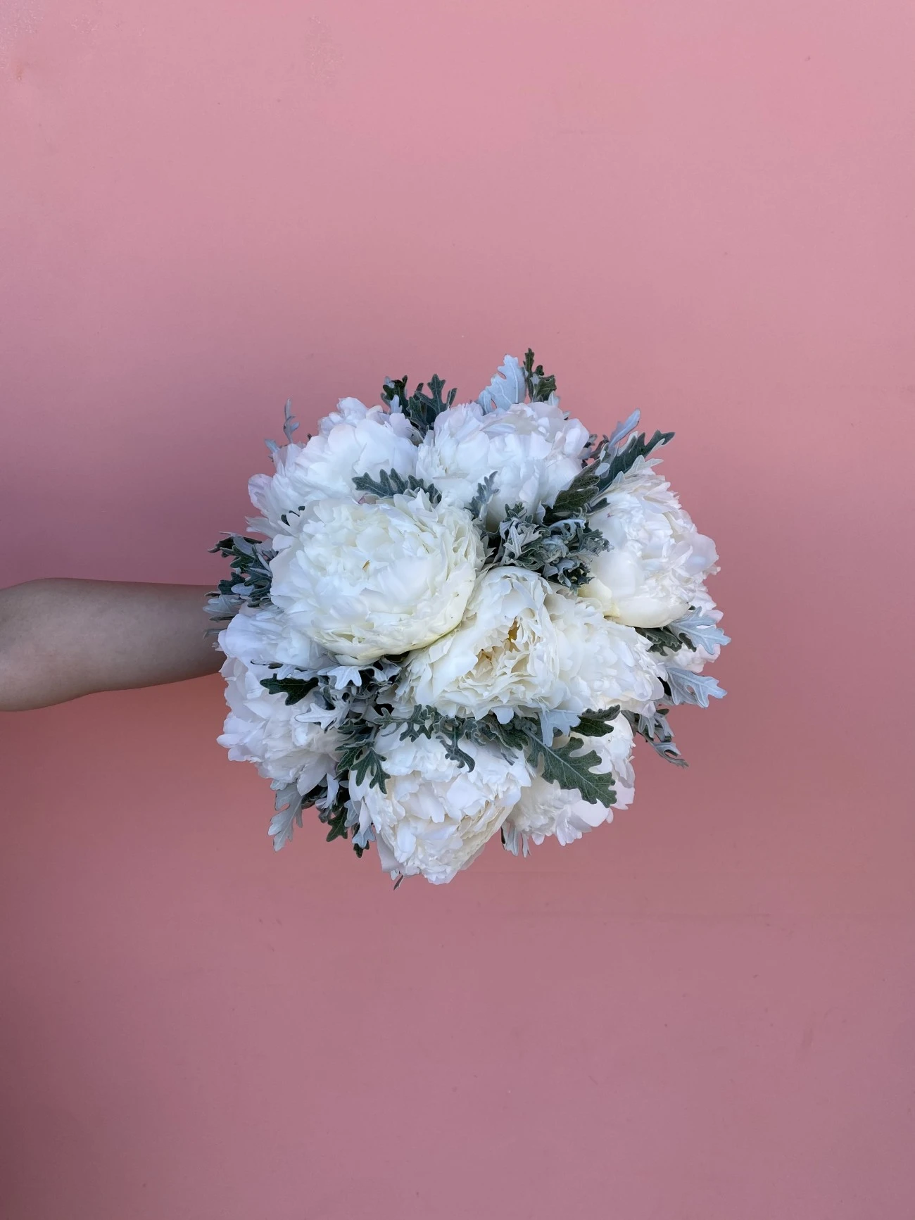 Beyaz Şakayık ve Dusty Miller Gelin Buketi & Damat Yaka Çiçeği