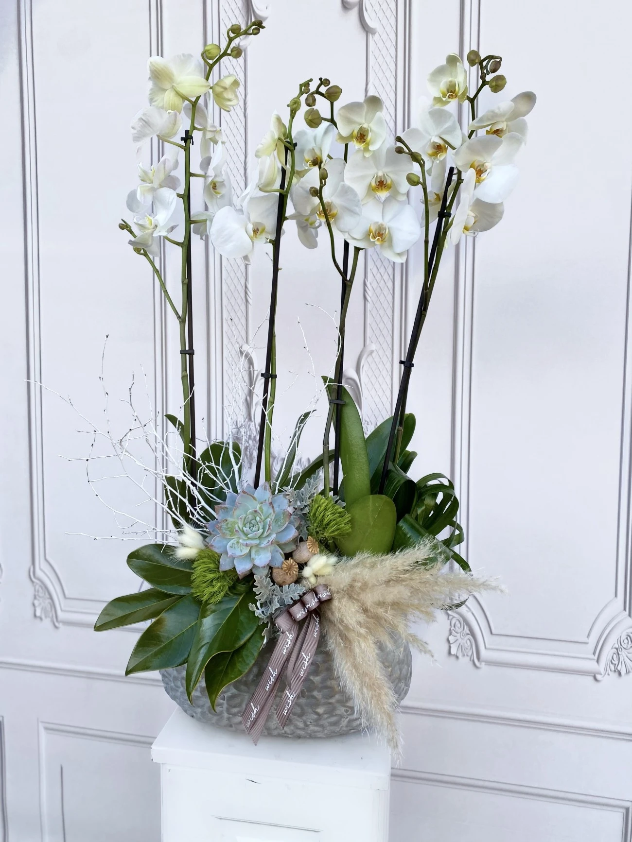 Beyaz Orkide Bahçesi