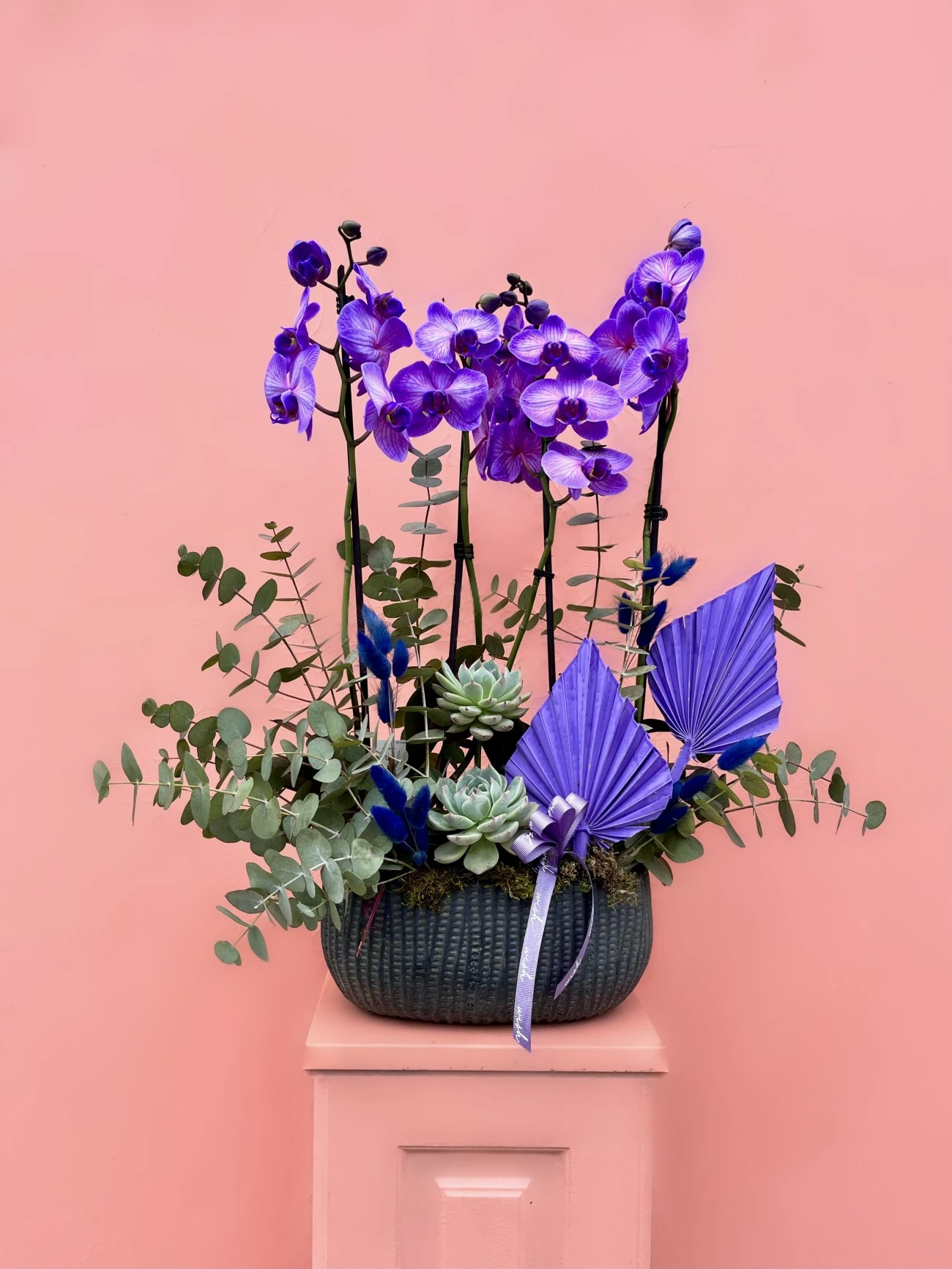 Özel Tür Wonder Purple Orkide Bahçesi