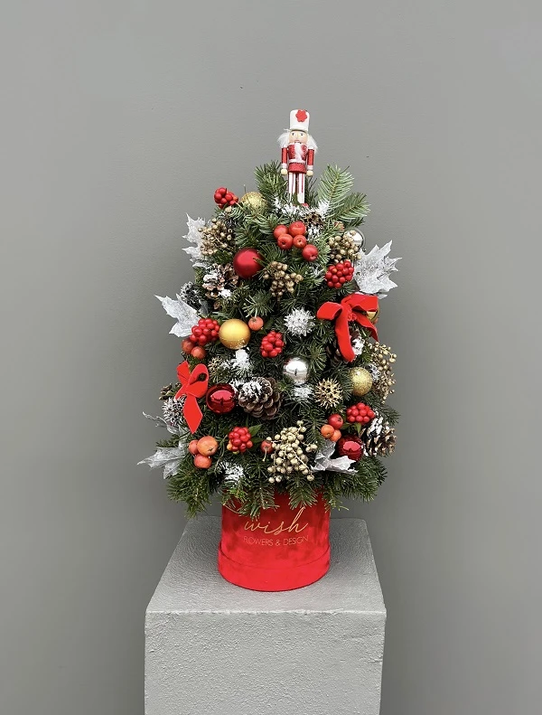 Kırmızı Kadife Kutuda Çam Ağacı