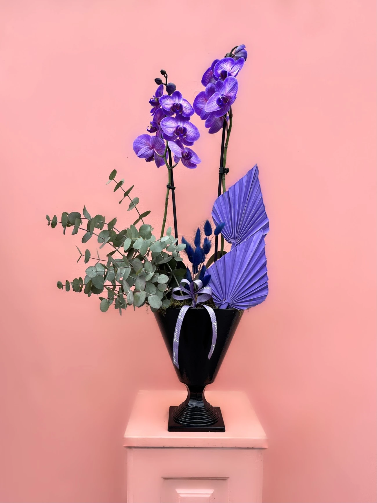 Özel Tür Wonder Purple Orkide