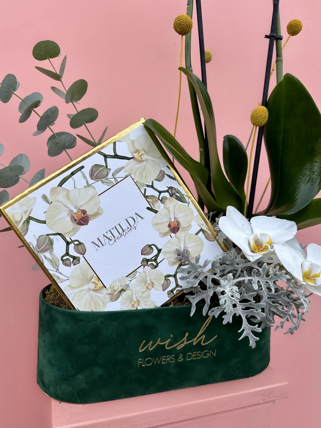 Yeşil Kadife Kutuda Makaron Ve Beyaz Orkide