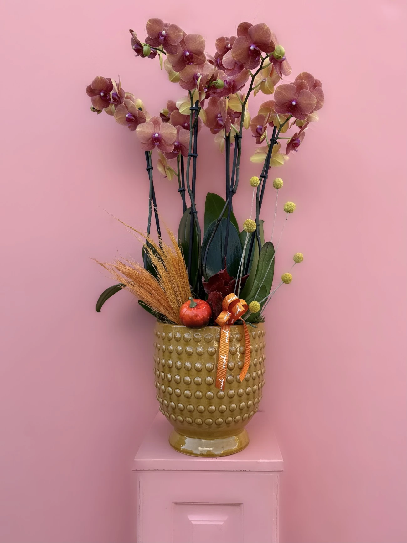 Özel Seramik Vazoda 6 Dallı Surf Song Orkide Bahçesi