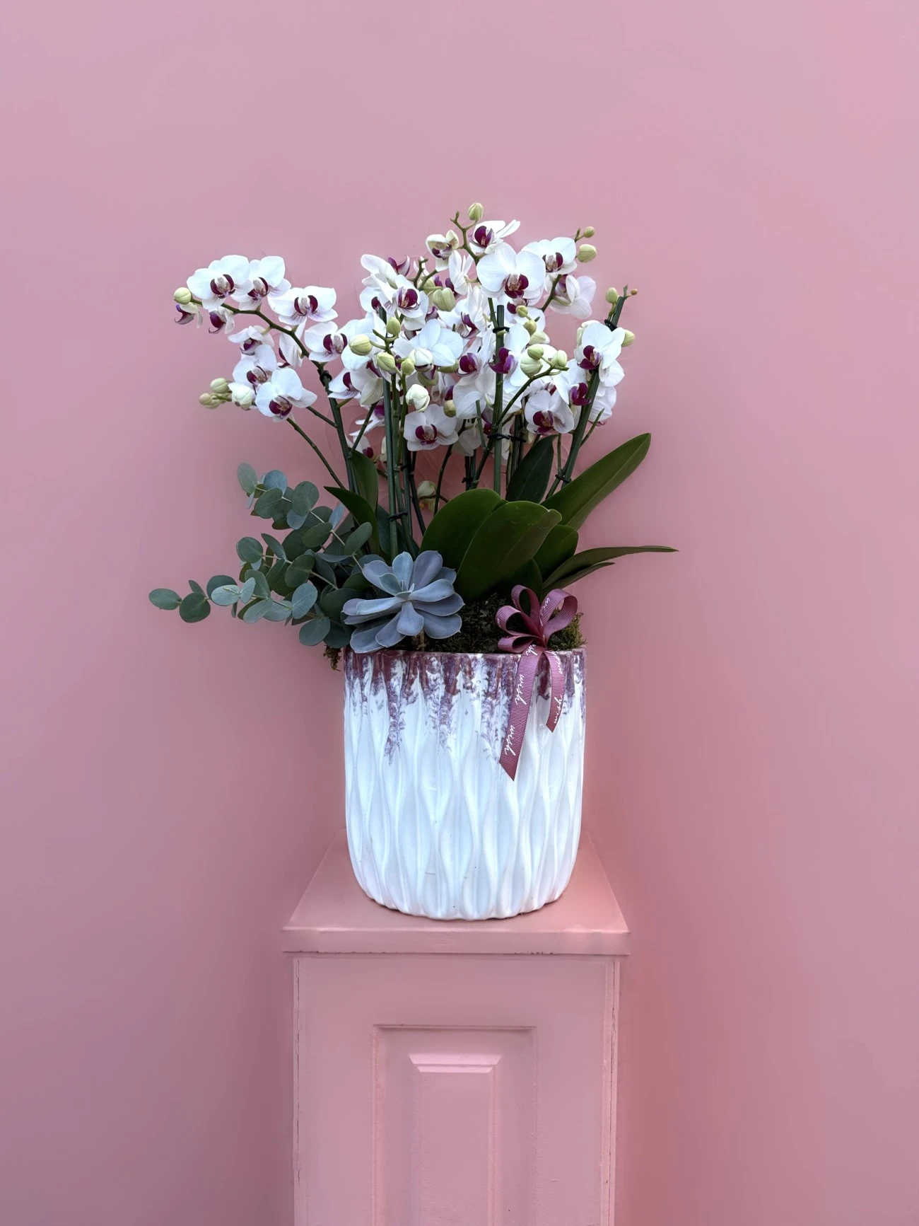 Özel Tür Midi Boy Bougetto Orkide