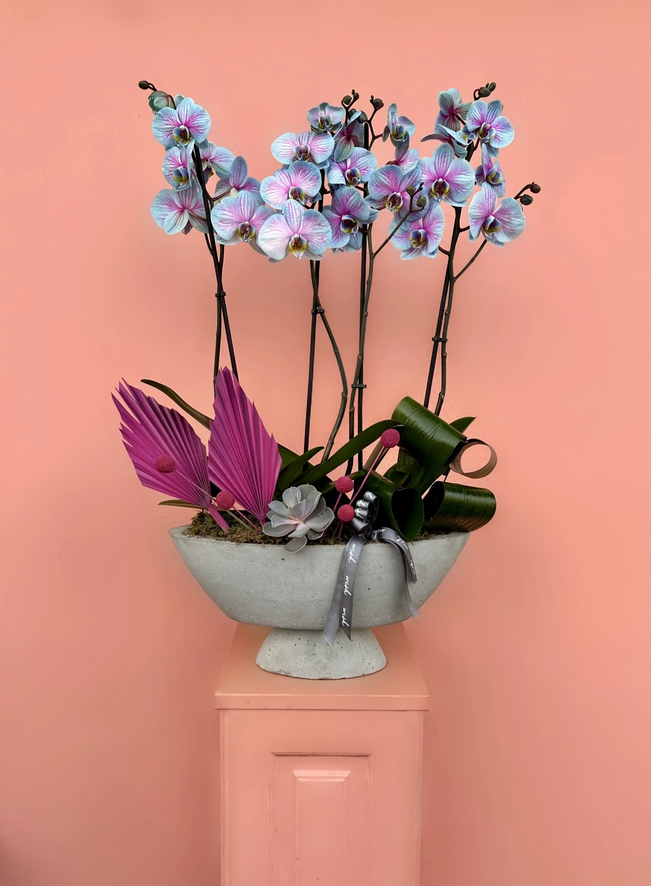 Özel Tür Rainbow Orkide Bahçesi