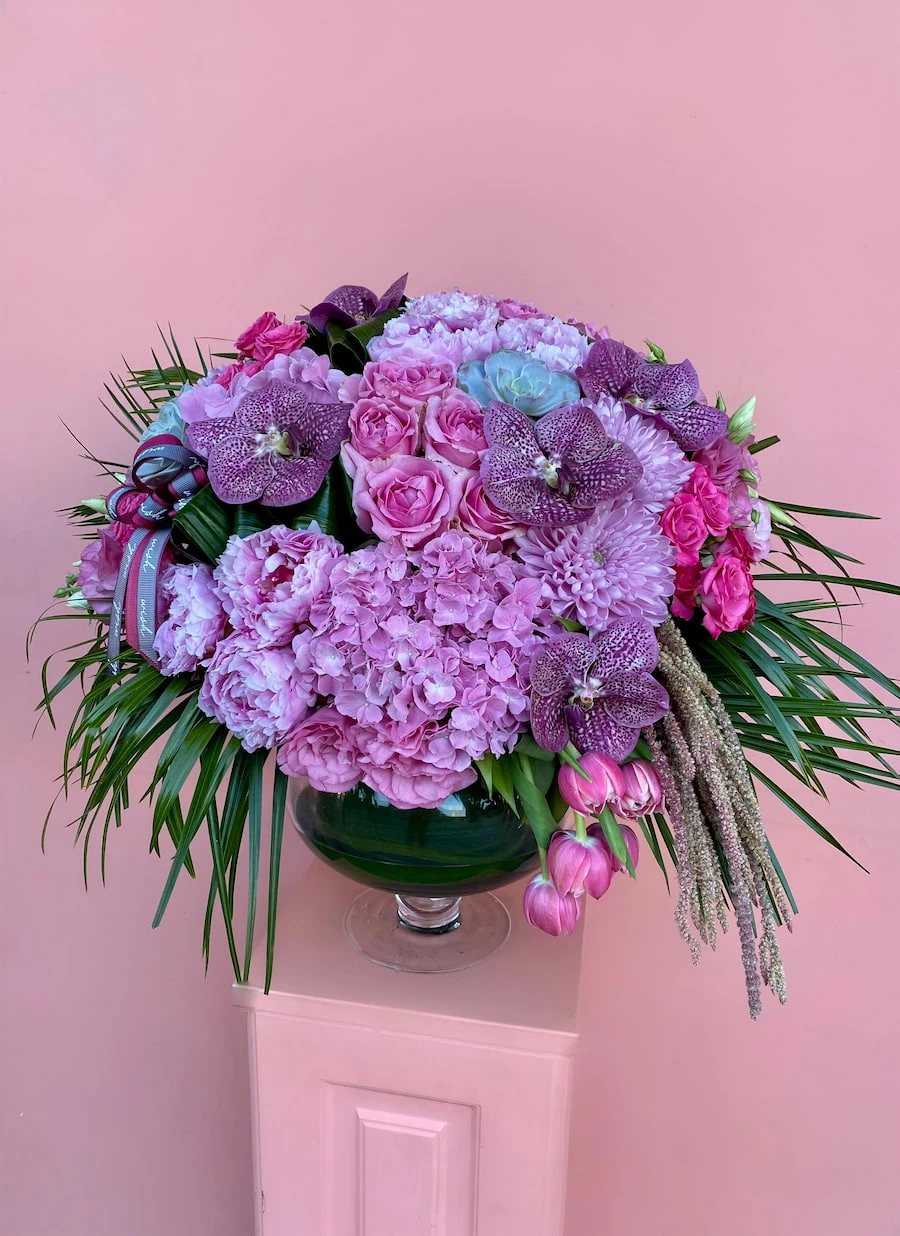 Neva Grand Deluxe Aranjman